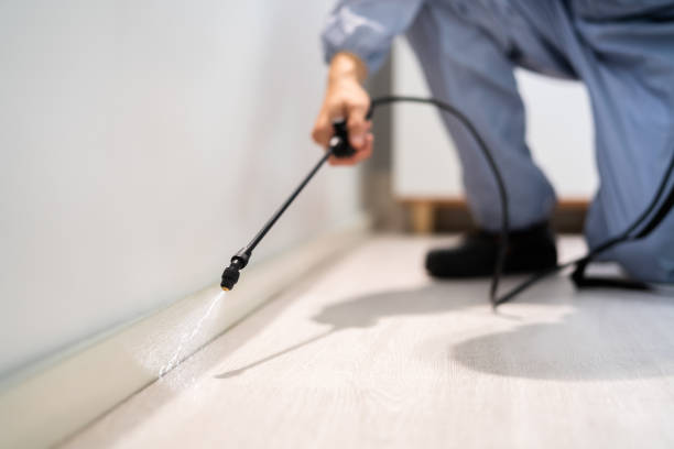 Licensed Cockroach Control service in Newton, TX - Nex Pest Control