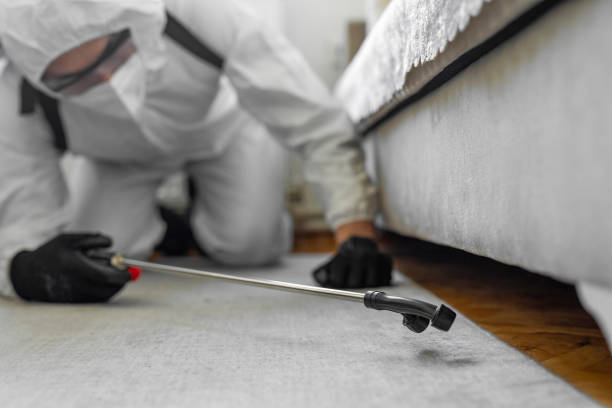 Professional Cockroach Control technician working in Newton, TX