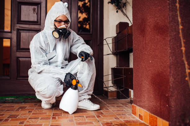 Reliable Cockroach Control contractor in Newton, TX by Nex Pest Control